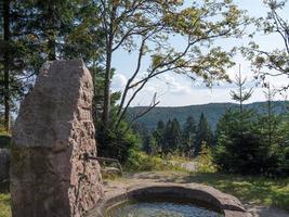 the black forest in germany photo