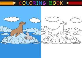 Cartoon seal coloring book vector