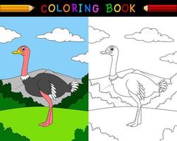 libro para colorear de avestruz de dibujos animados vector
