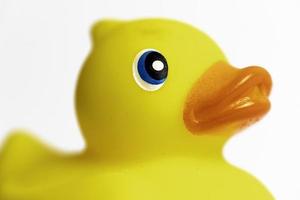 Yellow Rubber Duck photo