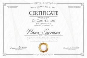 Certificate or diploma modern design template vector