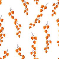 patrón impecable de linterna physalis, papel tapiz naranja de hermosas bayas de otoño y hojas de physalis vector
