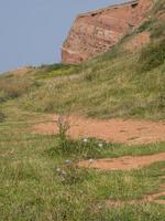 isla de helgoland en el mar del norte foto