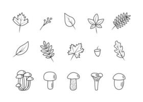 Doodle set of tree leaves and mushrooms, autumn concept, vector illustration