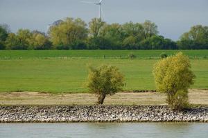 the river rhine near wesel photo