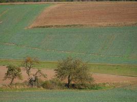 the city of Waldeck and the reservoir in germany photo