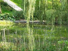 summer time in a german park photo