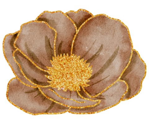 Brown Flower PNGs for Free Download