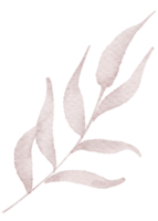 Leaf Element watercolor png