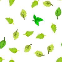 Basil Leaves Vector Seamless Pattern