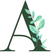 akvarell gröna blad med alfabetet png