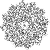 Mandala of many curls and spirals, zen coloring page or decor element vector