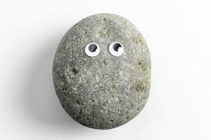 roca mascota con ojos saltones foto