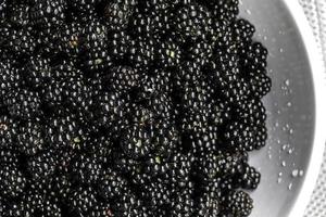 Blackberries In A Bowl Macro photo