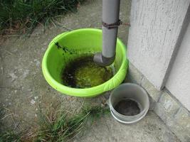 Drinking bowl for animals from rainwater collected from the roof photo