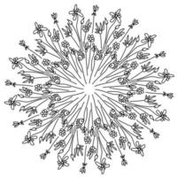 mandala de flores de fideos delicados, elegante página de coloración de hierbas para el diseño vector