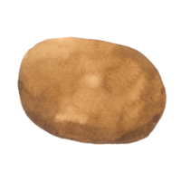 Coffee bean watercolor hand paint png