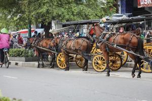 yogyakarta, indonesia - mayo de 2022 delman se detiene en jalan malioboro. delman es un caballo de transporte tradicional. foto