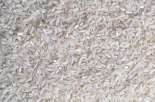 Raw white long rice macro background photo