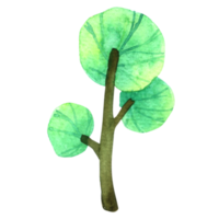 simpatico cartone animato dell'acquerello dell'albero png