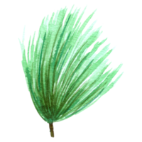 aislado de acuarela de hoja de otoño sobre fondo blanco png