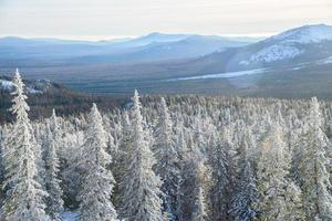 paisaje de invierno bosque nevado en las montañas, rusia, ural. foto