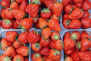 Baskets of fresh delicious Strawberries in store, closeup. photo