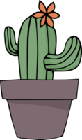 Cactus cartoon hand drawn png