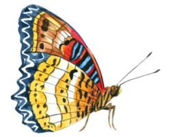 vlinder aquarel handverf