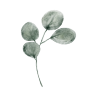 groen blad element aquarel png