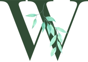 hoja verde acuarela con alfabeto png