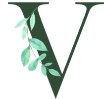 feuille verte aquarelle avec alphabet png