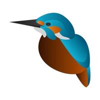 gradient kingfisher bird vector illustration