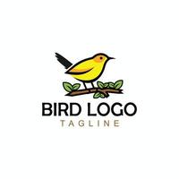 Bird logo design vector icon template