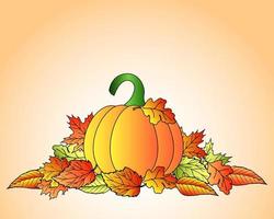 Colorful pumpkin and autumn leaves. Autumn illustration, postcard, vector