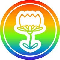 flor de loto circular en el espectro del arco iris vector