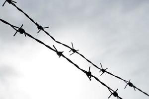 The barbed wire fence and the sky felt like it was blocked. photo