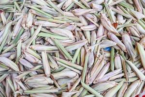 lemon grass slice on background, fresh lemon grass dry in the sun for food and herb , lemongrass tea photo