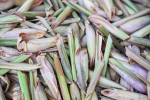 lemon grass slice on background, fresh lemon grass dry in the sun for food and herb , lemongrass tea photo