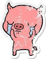 distressed sticker of a cartoon pig crying vector