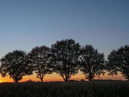 sundown in the german muensterland photo