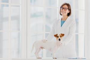 cuidado y salud de los animales. toma interior de una veterinaria con bata blanca y guantes médicos, se para cerca de la mesa de examen, examina al perro, al cachorro de mascotas, posa en una clínica veterinaria moderna contra una ventana grande. foto