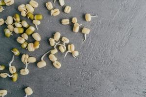 Grown mung beans sprouts spread over grey background, ready to cook. Free space in left corner for your information. View from above photo