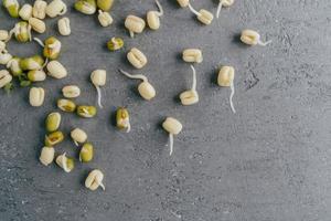 Horizontal shot of sprouted mung beans for your healthy eating isolated over grey background with copy space. Flat lay. Healthy grams photo