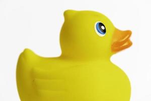 Yellow Rubber Duck photo