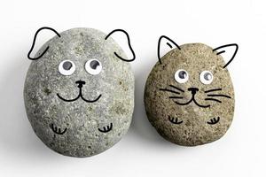 Pet Rock With Googly Eyes photo