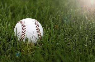 beisbol en pasto foto