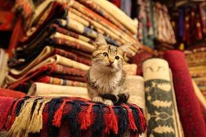 alfombras tradicionales turcas en goreme, nevsehir, pavo foto