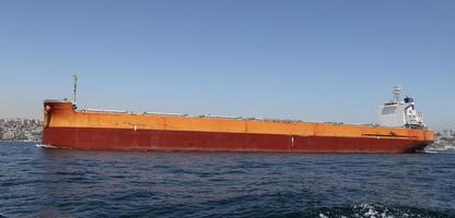 Cargo Ship in Sea photo