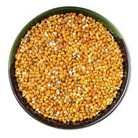 unhulled proso millet grain in round bowl isolated photo